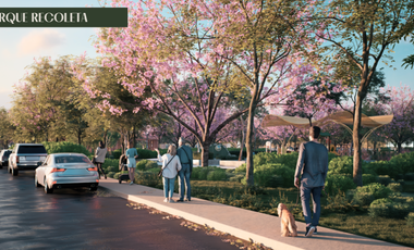 Últimos lotes en etapa de lanzamiento a $182k. El valor aumentará con el desarro