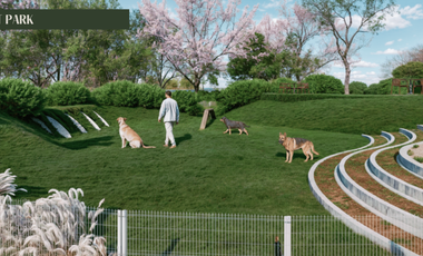 Últimos lotes en etapa de lanzamiento a $182k. El valor aumentará con el desarro