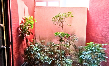 Departamento en planta baja con patio privado | Se siente como casa