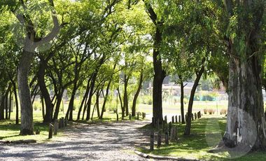 Lote en venta - Barrio Santa Juana, Canning