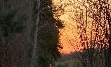 VENTA Terreno en Barrio Cerrado en Roldán.