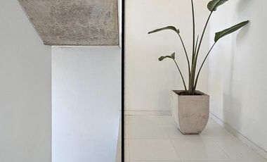 Desarrollo Argos - Departamentos a estrenar