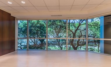 Oficina en alquiler Centro / Retiro Edificio corporativo Impecable y luminosa