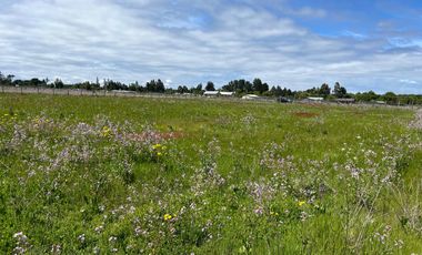 INCREIBLE PARCELA  CAMINO A ANTUCO