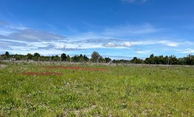 INCREIBLE PARCELA  CAMINO A ANTUCO