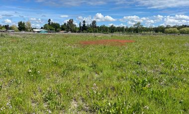 INCREIBLE PARCELA  CAMINO A ANTUCO