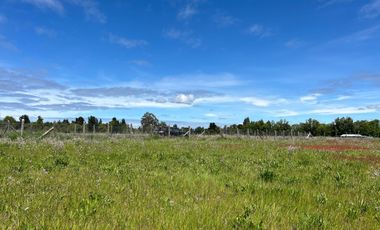 INCREIBLE PARCELA  CAMINO A ANTUCO