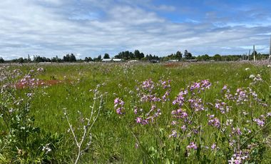 INCREIBLE PARCELA  CAMINO A ANTUCO