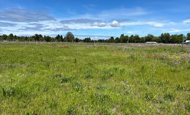 INCREIBLE PARCELA  CAMINO A ANTUCO