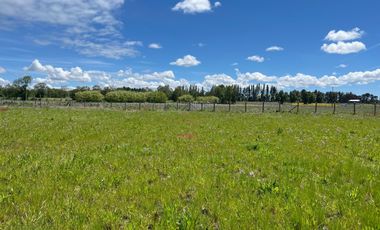 INCREIBLE PARCELA  CAMINO A ANTUCO