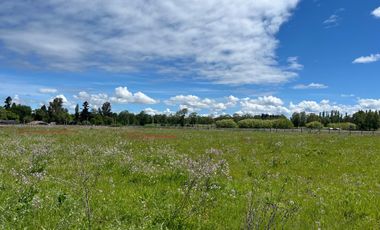 INCREIBLE PARCELA  CAMINO A ANTUCO