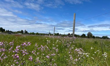 INCREIBLE PARCELA  CAMINO A ANTUCO