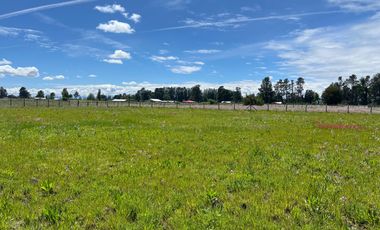 INCREIBLE PARCELA  CAMINO A ANTUCO