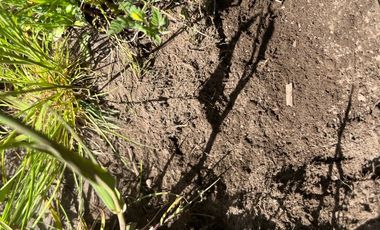 INCREIBLE PARCELA  CAMINO A ANTUCO