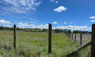 INCREIBLE PARCELA  CAMINO A ANTUCO