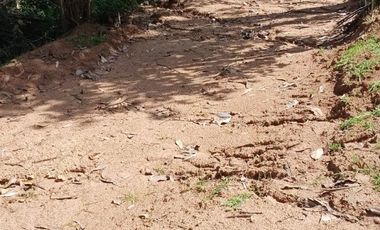 Se vende sitio 5000 m2, Pumanque