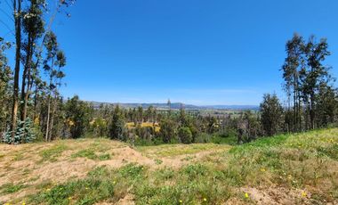 Se vende sitio 5000 m2, Pumanque