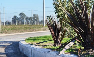 Terreno en EcoPueblo