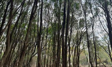 Casa en venta - 4 Dormitorios 5 Baños - Temperley