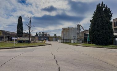 ALQUILER - DEPOSITO GALPON 800 m2 - PARQUE INDUSTRIAL DUCILO - BERAZATEGUI