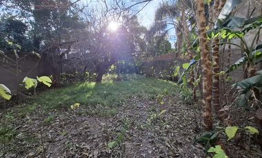 Local en venta o alquiler en Villa Adelina