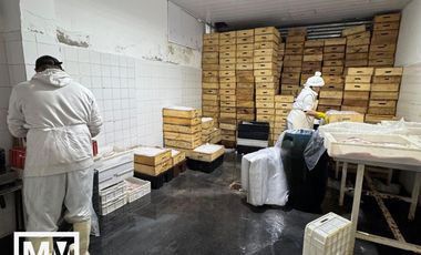 Galpón en San Carlos