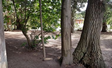 Casa en venta - 3 Dormitorios 2 Baños - 535Mts2 - San Clemente del Tuyú