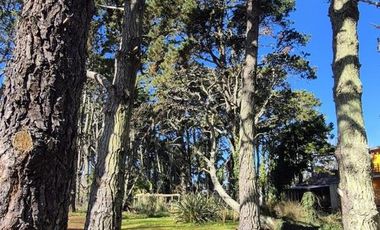 Casa en venta - 3 Dormitorios 2 Baños - Costa del Este