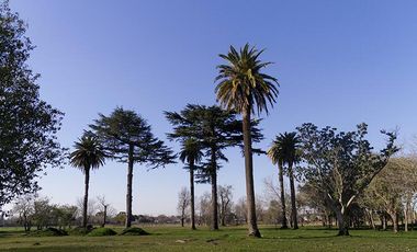 Terreno - Longchamps