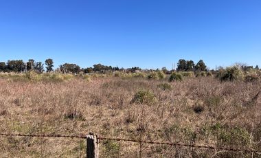 Terreno de importantes dimensiones en Venado Tuerto