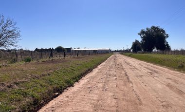 Terreno de importantes dimensiones en Venado Tuerto