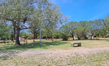 ALQUILER  HERMOSA CASA AMPLIO JARDIN 2 DORM ANTONIO SOBRAL 336  Bº LOS ROBLES  CÓRDOBA