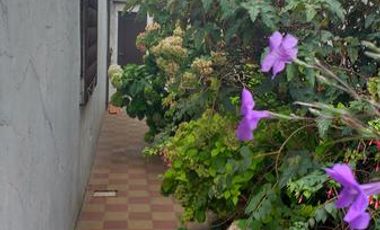 VENTA CASA 4 AMB 100  M2 JARDIN TERRAZA LANUS OESTE