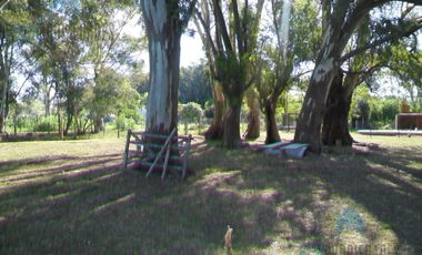 Hotel en  Villa Pardo, CASA Bioy
