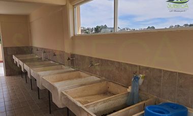 Venta Edificio de Departamentos en Xalapa, Coapexpan