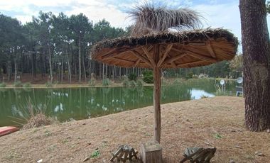 Casa en venta - 4 Dormitorios 3 Baños - Pinamar