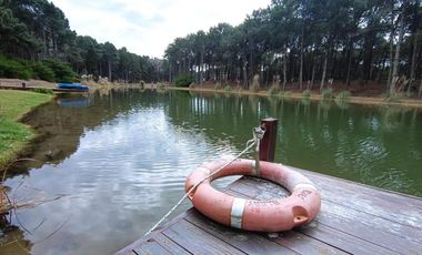 Casa en venta - 4 Dormitorios 3 Baños - Pinamar