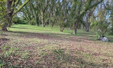 TERRENO PRODUCTIVO CON HUERTA DE NOGALES EN VENTA, TASQUILLO HIDALGO