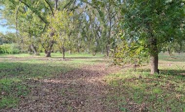 TERRENO PRODUCTIVO CON HUERTA DE NOGALES EN VENTA, TASQUILLO HIDALGO