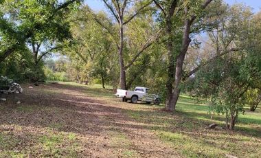 TERRENO PRODUCTIVO CON HUERTA DE NOGALES EN VENTA, TASQUILLO HIDALGO