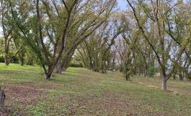 TERRENO PRODUCTIVO CON HUERTA DE NOGALES EN VENTA, TASQUILLO HIDALGO