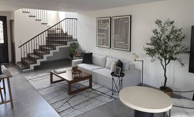 Constanza Petit, Portofino, Metepec