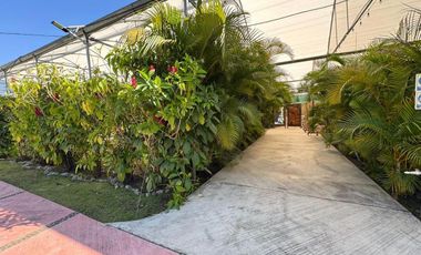 Jardines para eventos, casa, alberca, lago, vivero