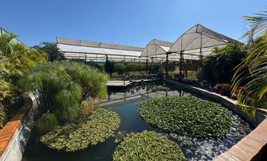 Jardines para eventos, casa, alberca, lago, vivero