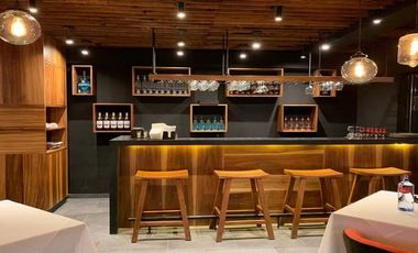 Local Comercial en Venta en San Ángel Inn, Álvaro Obregón, Cdmx