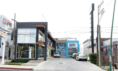 LOCAL EN RENTA EN PLAZA CRISPIN