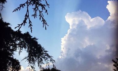 CLUB DE GOLF LOS ENCINOS