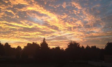 CLUB DE GOLF LOS ENCINOS