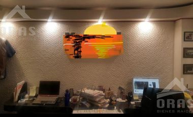 Bodega comercial - Roma Sur