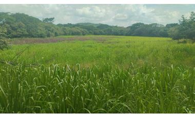 VENTA DE FINCA EN NAT PRECIO DE OPORTUNIDAD